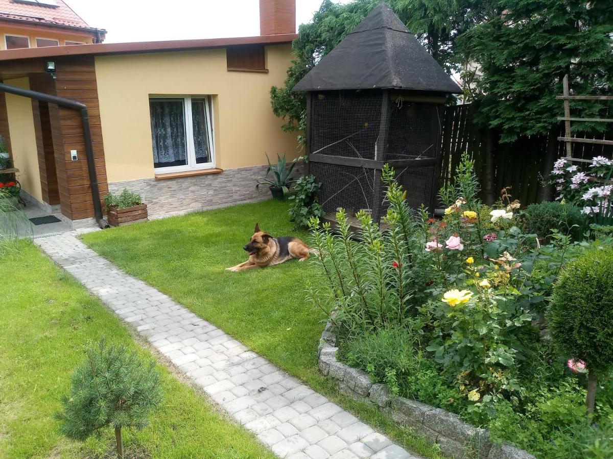 Agroturystyka U Agaty Chęciny Kültér fotó
