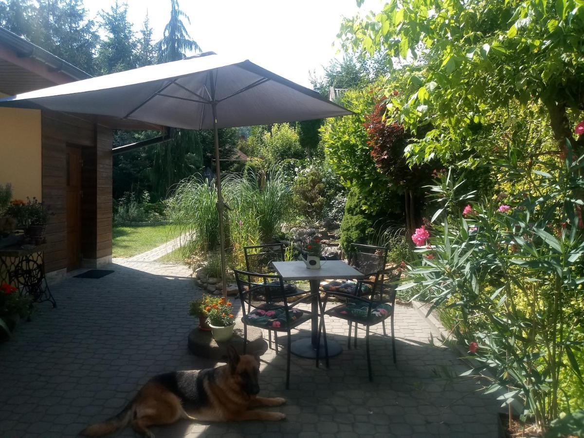 Agroturystyka U Agaty Chęciny Kültér fotó